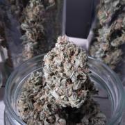 The White Sweet Candy OG One. F025