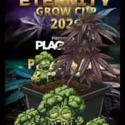 Eternity Grow Cup