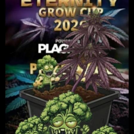 Eternity Grow Cup