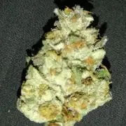 Mother of all Runtz