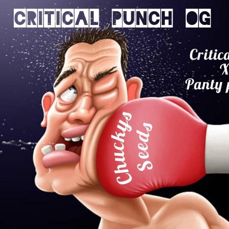 Critical Punch + New Feed Range..