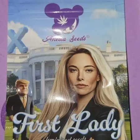 First Lady Hydroponic Grow
