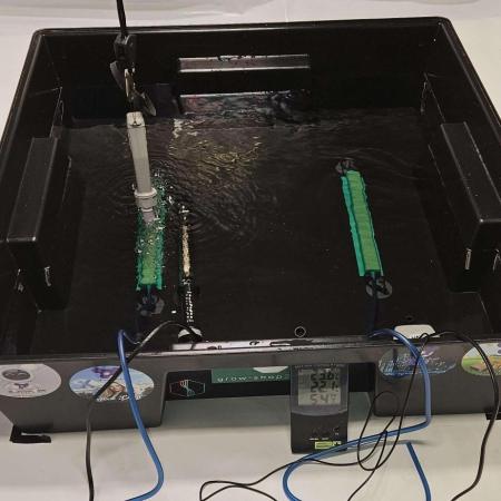 First Lady Hydroponic Grow