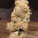 1 Gallon Drip Irrigation Organic