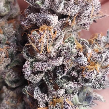 Pheno #3 Kings Juice