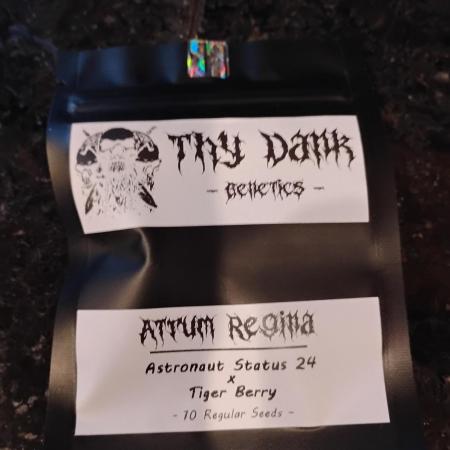 Atrum Regina- Thy Dank Genetics