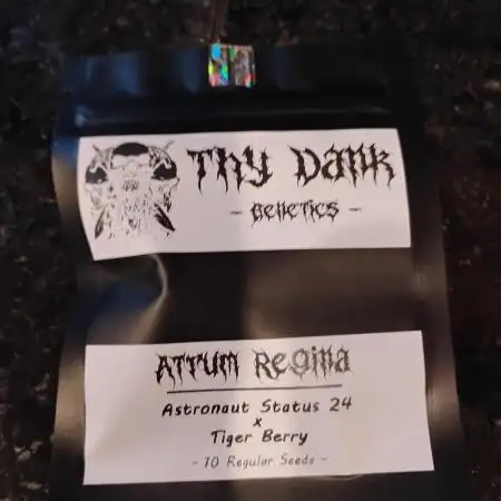 Atrum Regina- Thy Dank Genetics