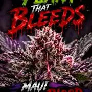 Maui True Blood