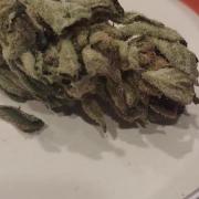 This will be the sticky goo of GOOFIEZZ