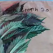 Thug Pug! Garlic breath 2.0