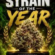 Legit SuperBoof Strain of The Year