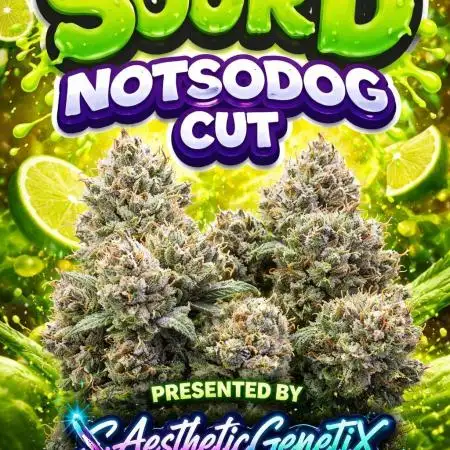 Real Deal Sour D ( notsodog cut)