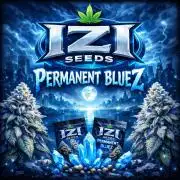Izi Seeds- Permanent Blues