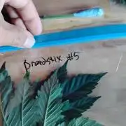 Breadstix #5 Staefli Farms