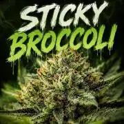Eternity Grow Cup 2026