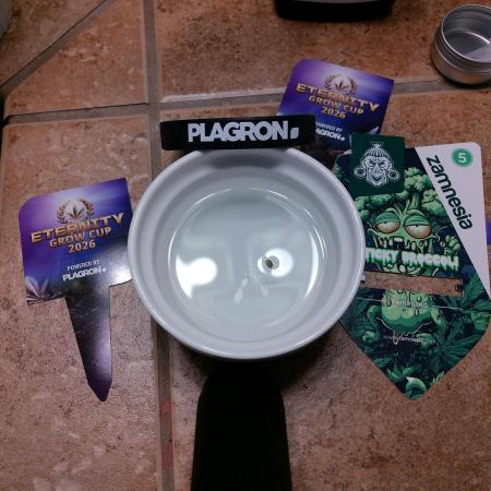 Eternity Grow Cup 2026