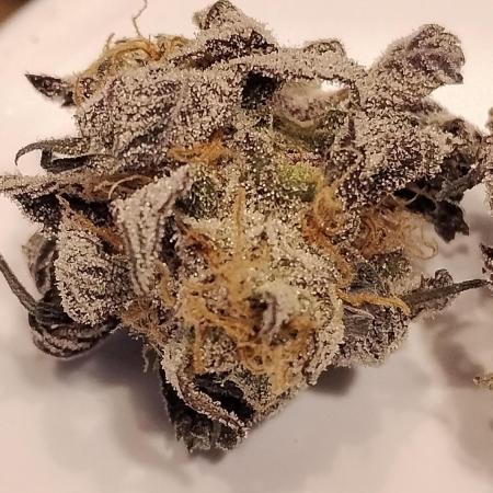 Purple Chrome 💜 (round 2)