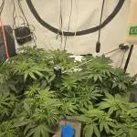 ☆☆ Jealousy & Bruce Baner ☆☆