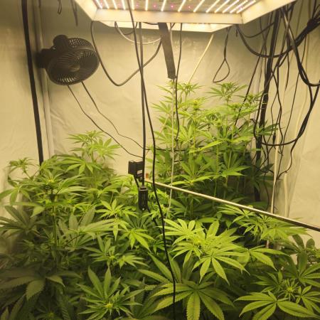 ☆☆ Jealousy & Bruce Baner ☆☆