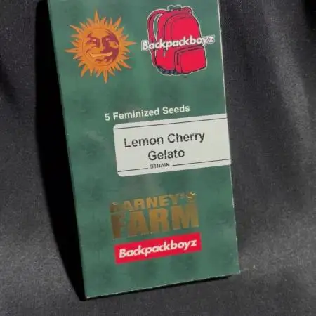 Lemon Cherry Gelato
