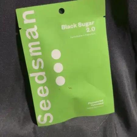 Black Sugar 2.0