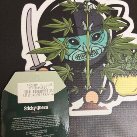 Sticky Queen