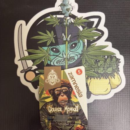 Grease monkey