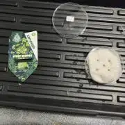 2026 Eternity Grow Cup