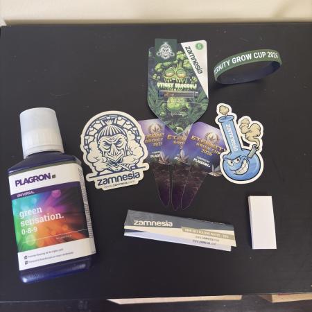 2026 Eternity Grow Cup