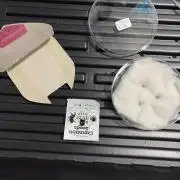 Cereal milk