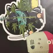 Special kush #1