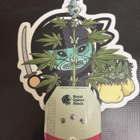 Legendary OG punch