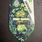 2026 Eternity Grow Cup