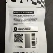 Gorilla cookies fast flower