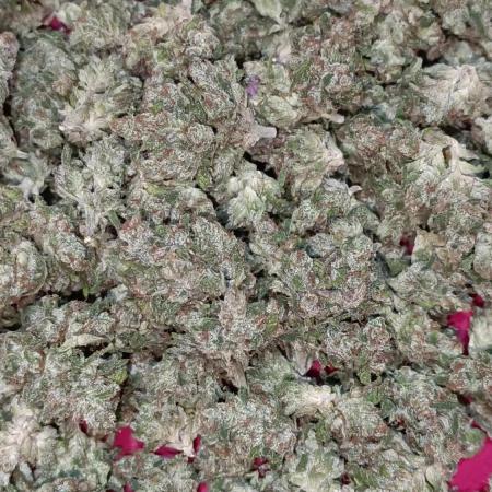 Dale fast buds