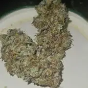 Mystery Phenos
