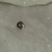 Lemon Mandarin 🍋🍊