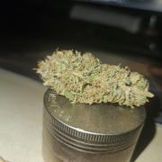 Lemon Mandarin 🍋🍊