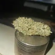 Lemon Mandarin 🍋🍊