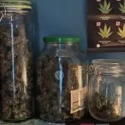 Original Moby Dick Auto