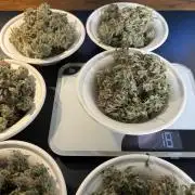 Lemon Cherry Cookies Auto
