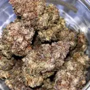 4 Strains - Barneys Farm 🌞 & Royal Queen Seeds 👑