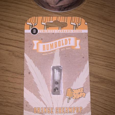 Orange Creampop