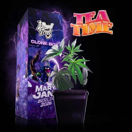 Wizard Trees Tea Time OG Cut