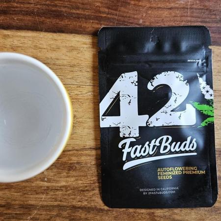 FastBuds West Coast OG Auto Outdoor Grow