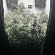 Репорт на Jam от UKHTA420