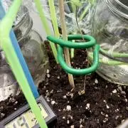 Blue Auto Mazar 2nd try