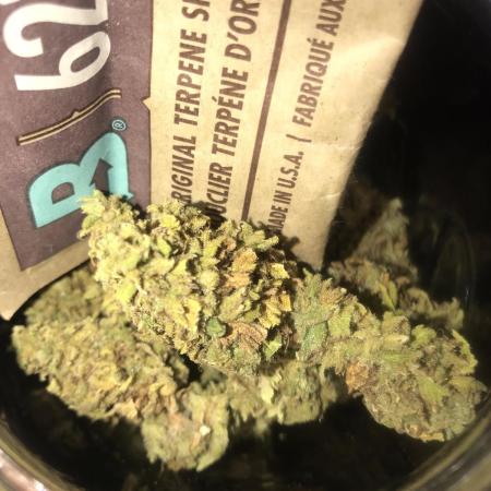 Landrace 2/22/25