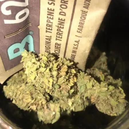 Landrace 2/22/25