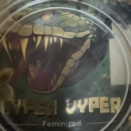 Hyper Vyper First Edition